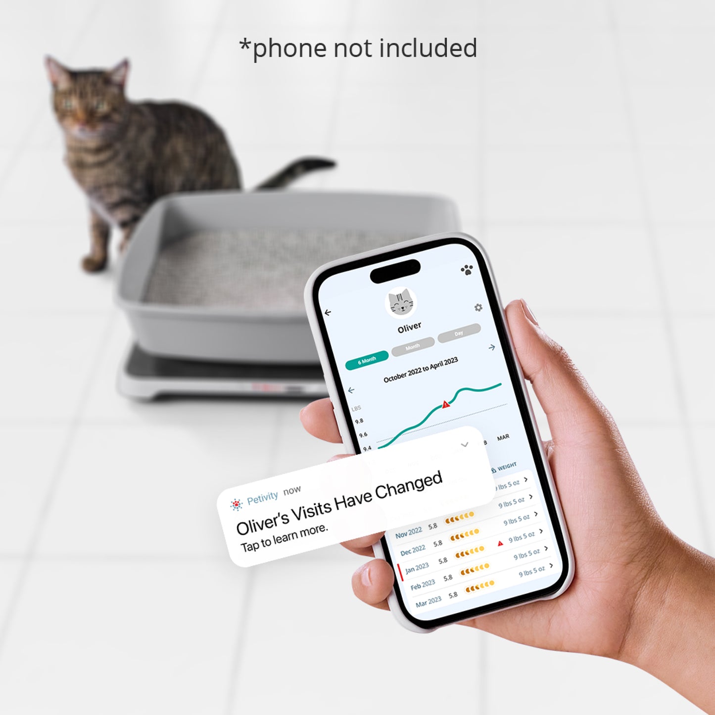 Phone showing Petivity report with cat in background