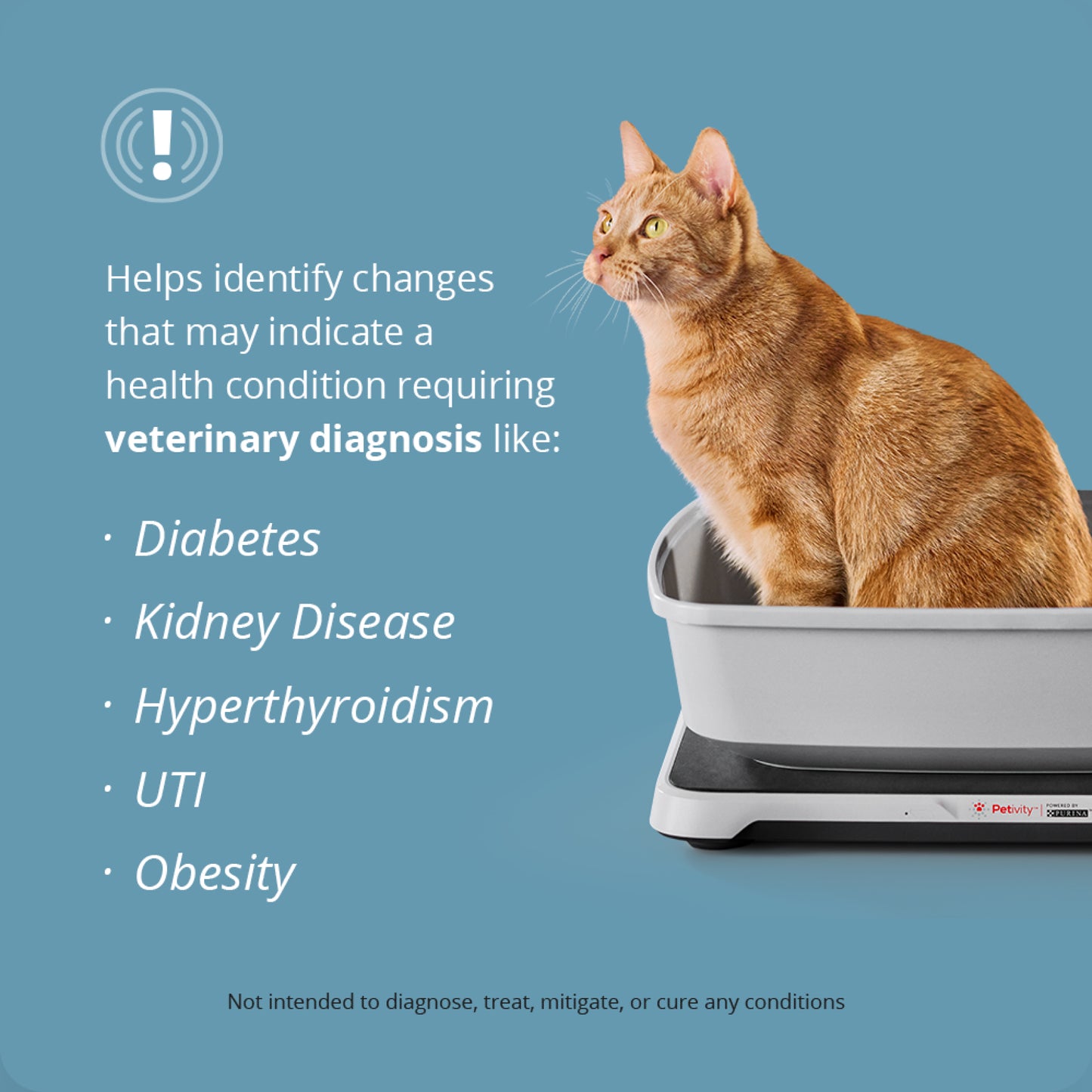 Helps identify changes that may indicate a health condition requiring veterinary diagnosis
