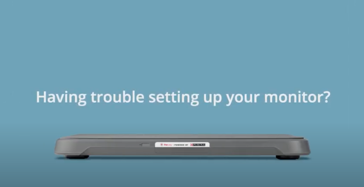 Having trouble setting up your monitor?