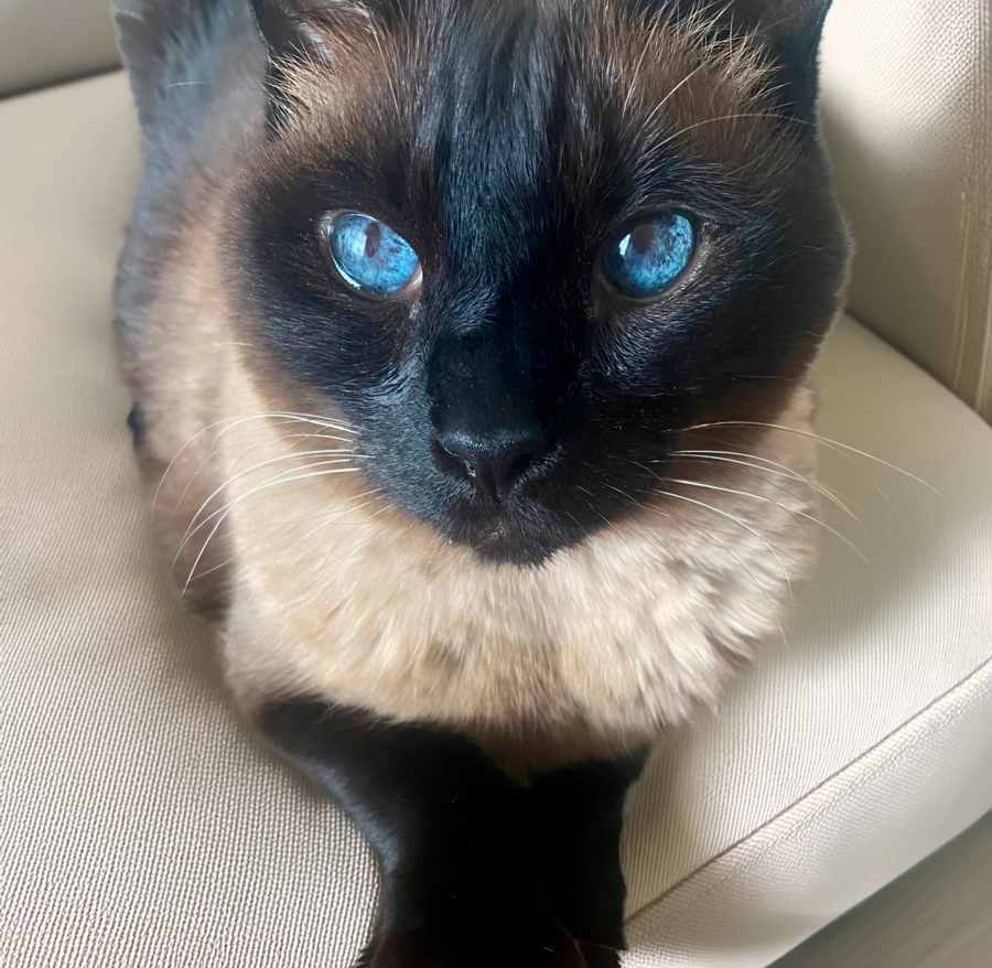 Slideshow (Slide 1 of 1)