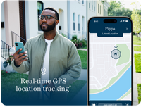 Man using smartphone outdoors with GPS app showing a dog's real-time location and activity tracking on screen