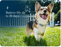 Happy corgi wearing a GPS and activity tracker collar standing on grass with text about 30-day battery life