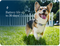 Petivity Smart GPS + Activity Tracker for Dogs