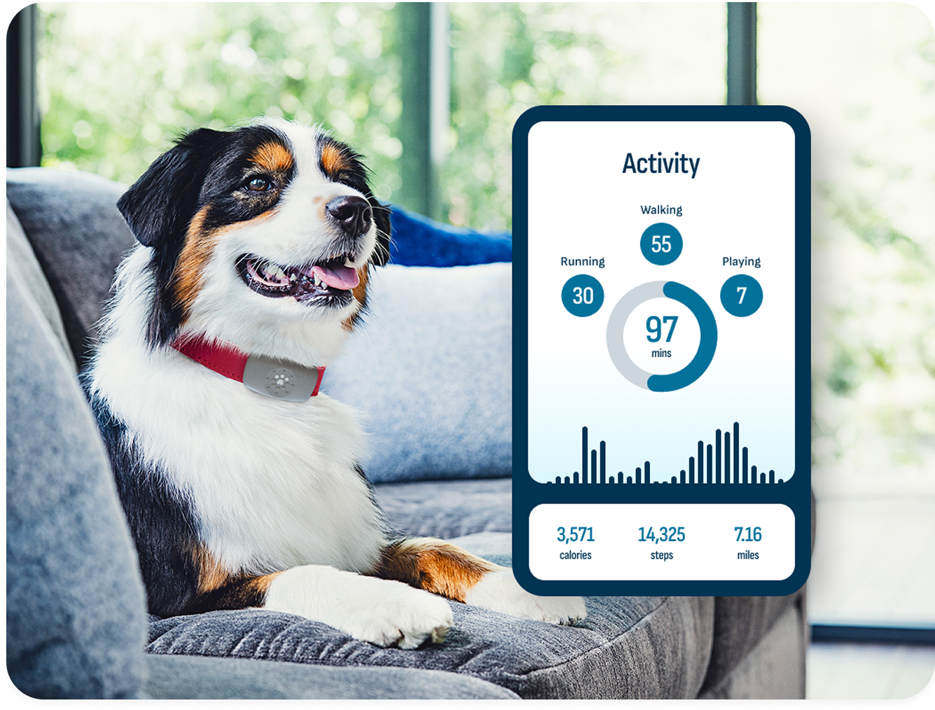 Petivity Smart GPS + Activity Tracker for Dogs