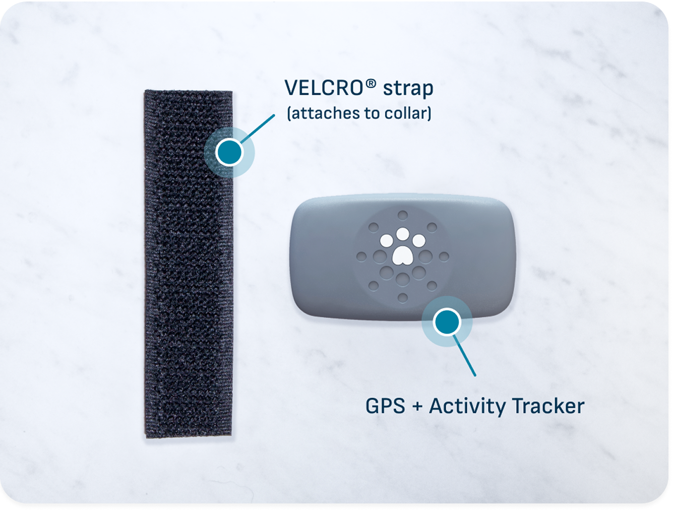 Petivity Smart GPS + Activity Tracker for Dogs