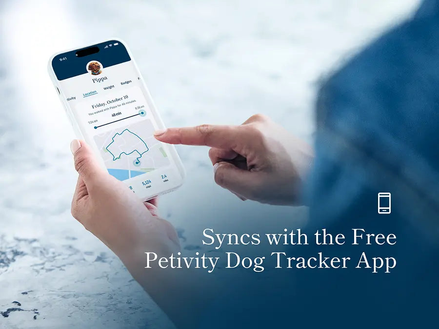 Person using smartphone showing Petivity dog tracker app with GPS location and activity data for a dog named Pippa