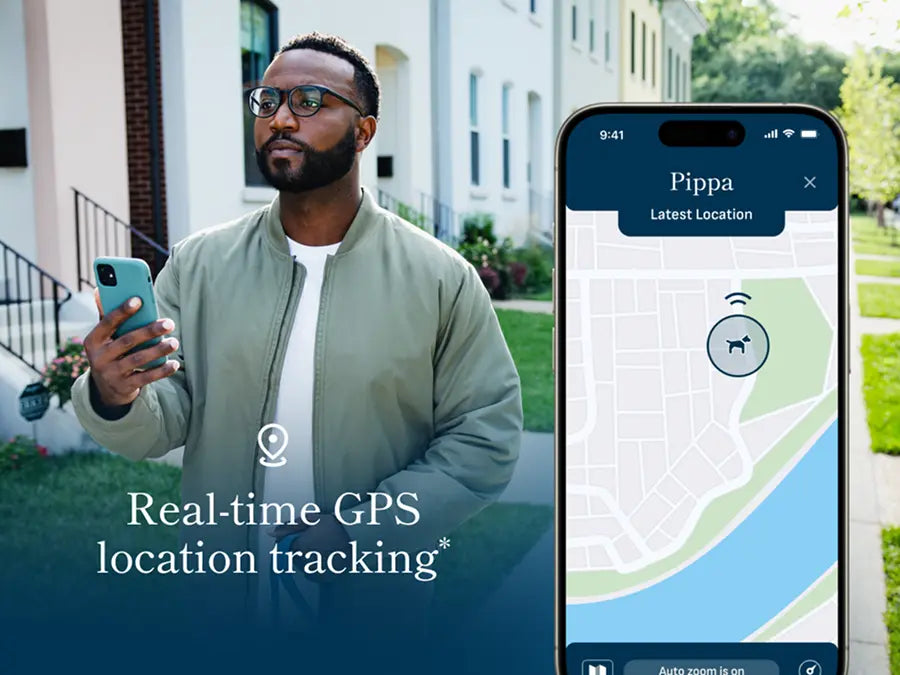 Man outdoors using phone to track dog location with Petivity Smart GPS and Activity Tracker app showing map on screen