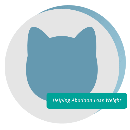 Blue cat head icon with text which reads helping Abaddon lose weight