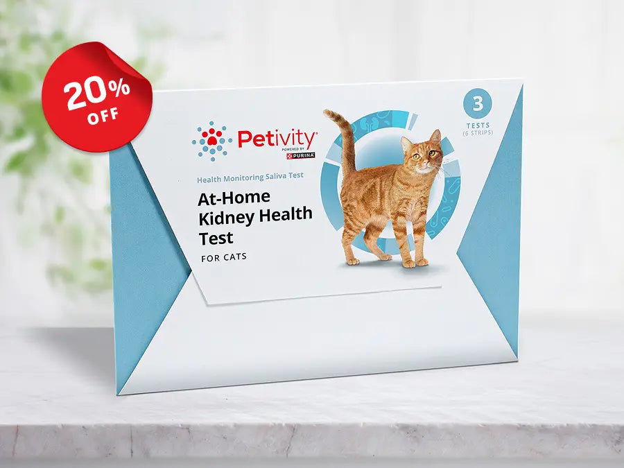 Petivity at-home kidney health test kit for cats with image of orange tabby cat and 20 percent off badge.