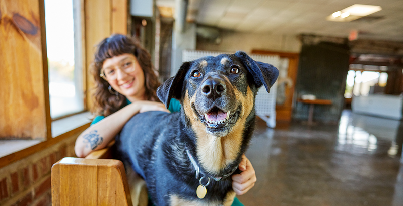 Smiling black and tan dog in the foreground with a woman sitting behind, gently holding the dog inside a bright room with large windows.