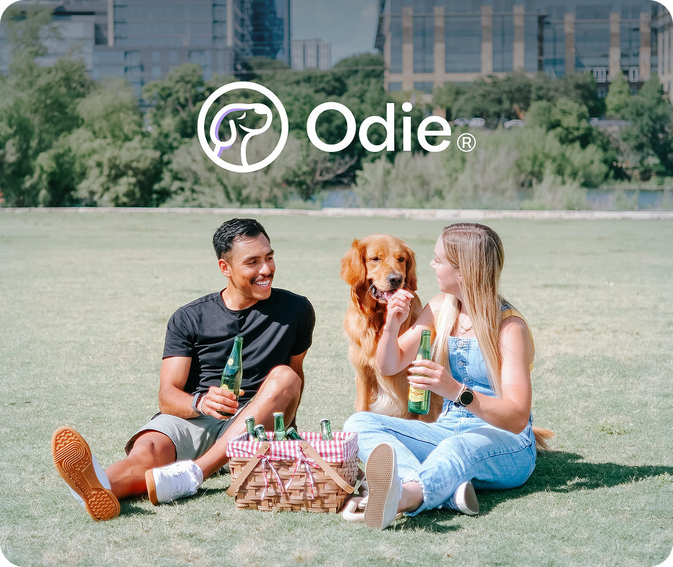 A man and woman sitting on grass having a picnic with a golden retriever, holding bottles and smiling outdoors.