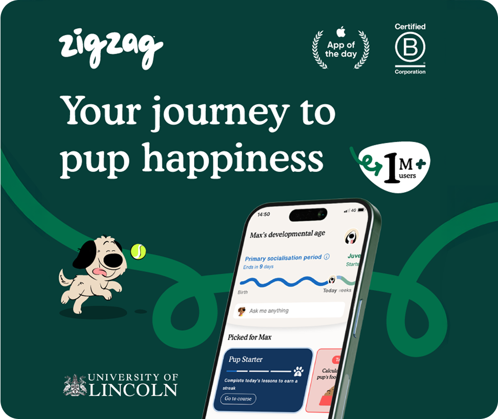 Illustration of a happy puppy with a phone displaying puppy training progress and text about a puppy happiness journey.