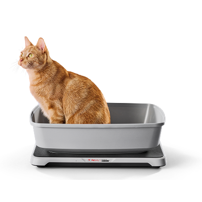 Cat sitting in the litter box that is placed on top of the monitor.