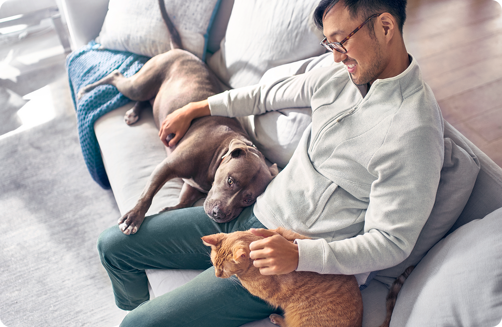 Man sitting on a couch smiling while petting a dog lying next to him and an orange cat on his lap in a bright living room.