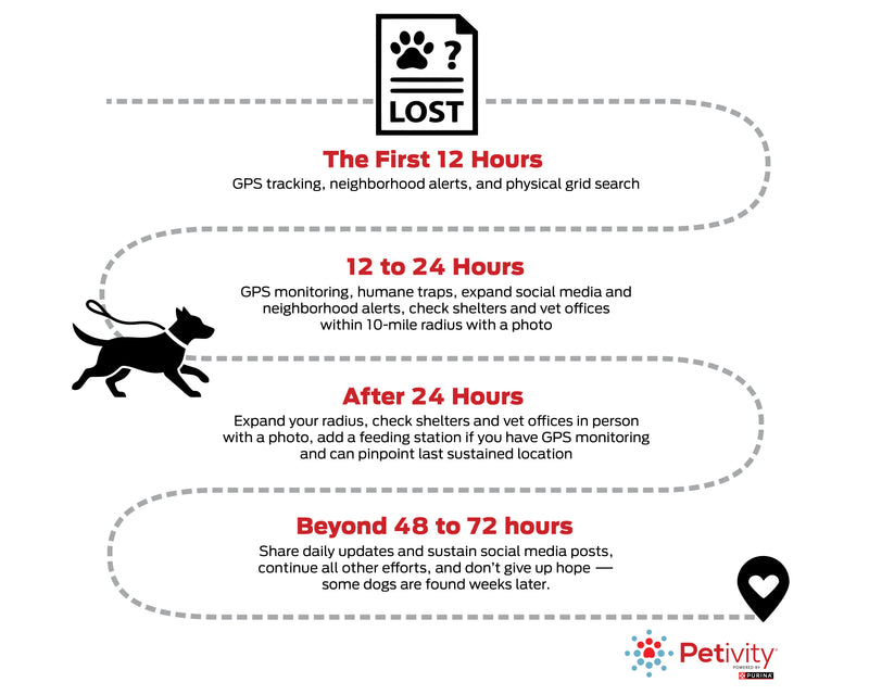 Infographic for finding a pet