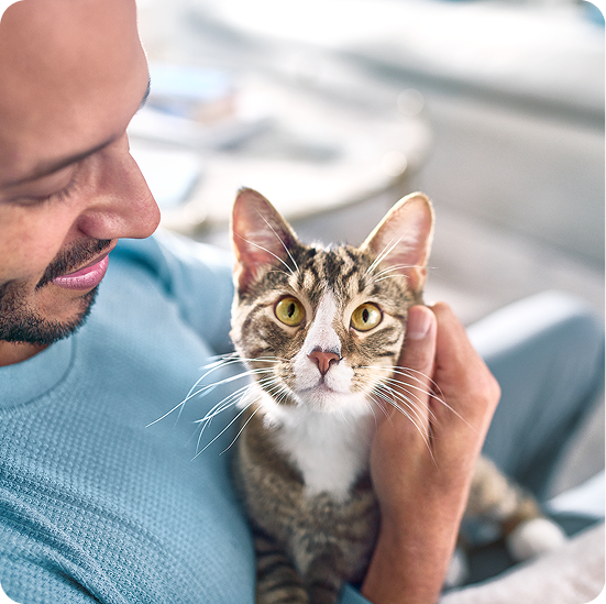 Man holding a tabby cat, looking at it affectionately while the cat stares at the camera.