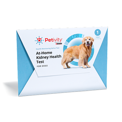 At-home kidney health test for dogs
