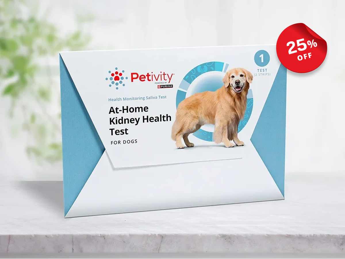 Petivity At-Home Kidney Health Test for Dogs - 1CT, featuring test strips for easy gum swabbing to monitor kidney health through saliva urea levels.
A red '25% OFF' sticker is in the top right corner.