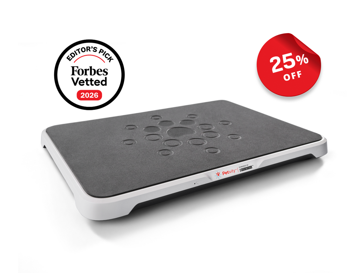 Smart Litter Box Monitor for Cats – Gray rectangular monitor platform with a black textured top, shown on a white background with a black Forbes Vetted 2026 badge and a red 25% off sticker, and a red '25% OFF' sticker is in the top right corner.