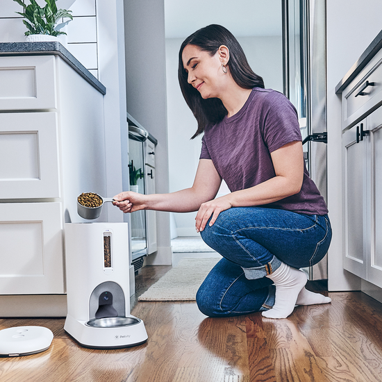 Video demonstrating how the Petivity Smart Feeder for Cats is used at home to serve meals and monitor feeding activity through the Petivity app