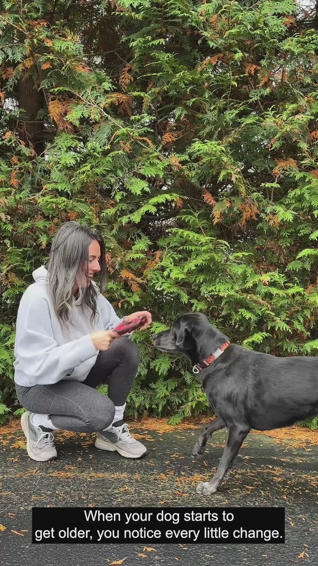Video thumbnail: At Home Oral Pet Health Test | Sammy K.