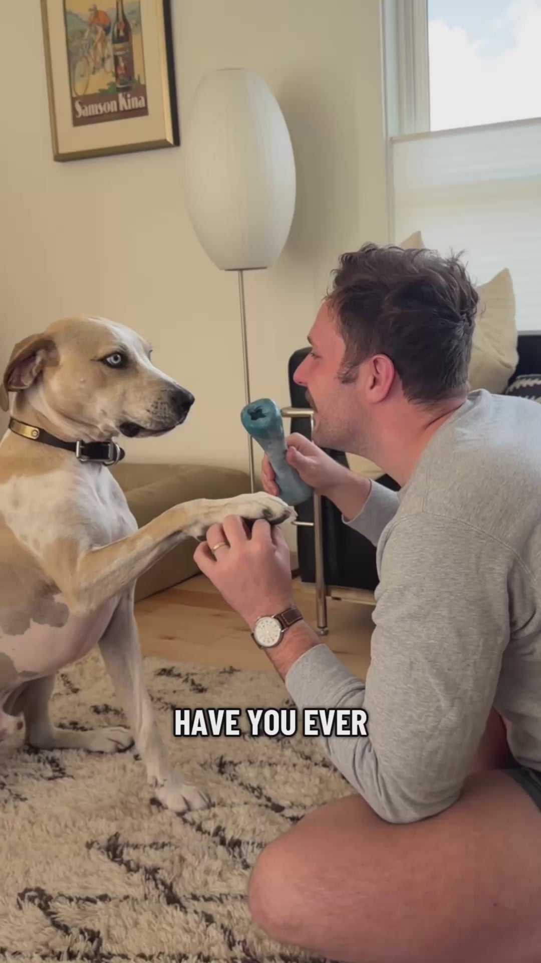 Video thumbnail: At Home Oral Pet Health Test | Anna S.