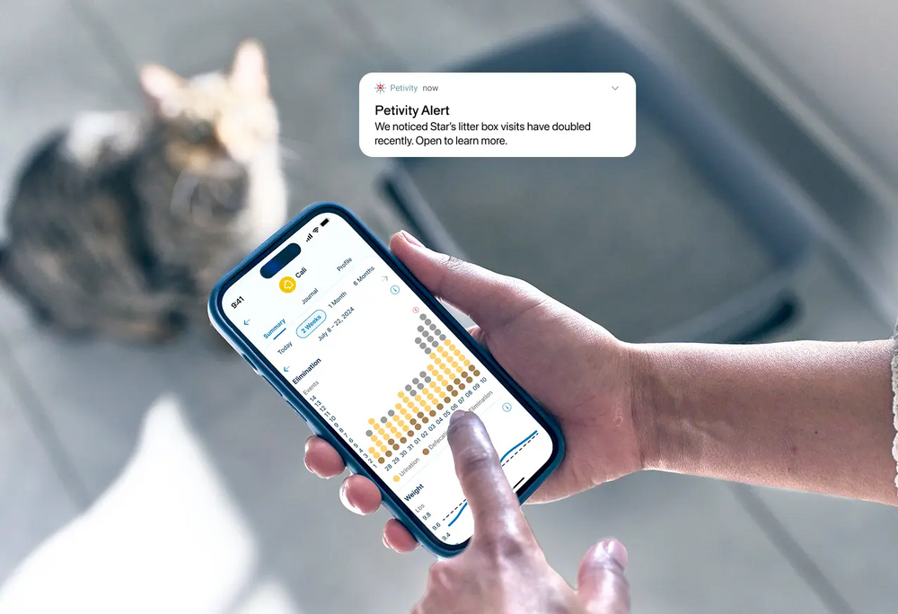 person holding a cell phone with a screen showing "Petivity Alert - we noticed star's litter box visits have doubled recently. open to learn more." with a cat and smart litter box monitor in the background