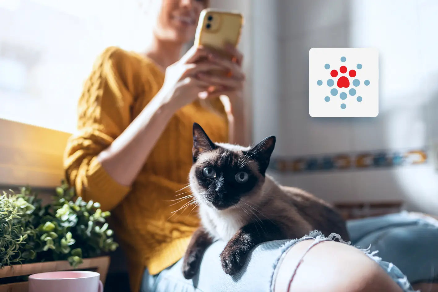 woman looking at her cell phone while cat lays on her lap and petivity icon